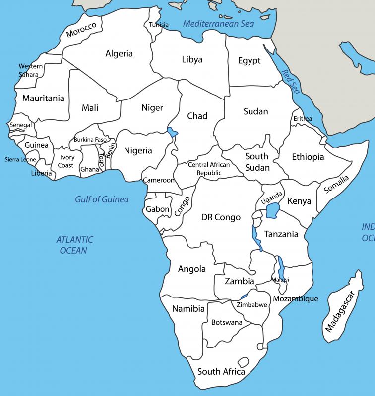 Western lowland gorillas live in several areas of Africa, including Angola, Congo, and Cameroon, while the eastern lowland gorilla lives in the Democratic Republic of the Congo.