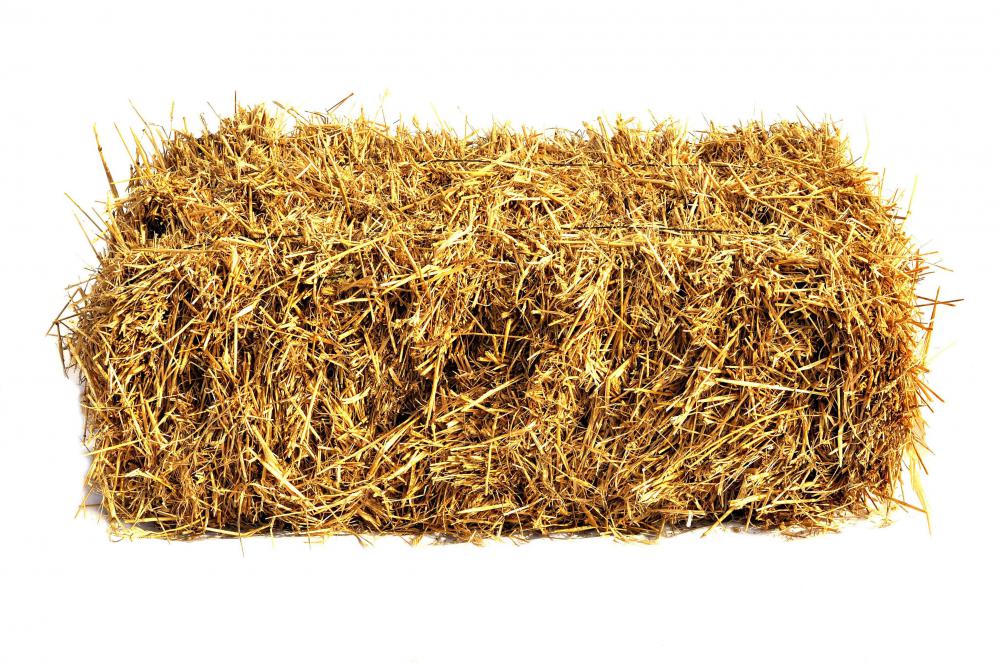 Hay steamers ensure that the hay is not harmful to horses.