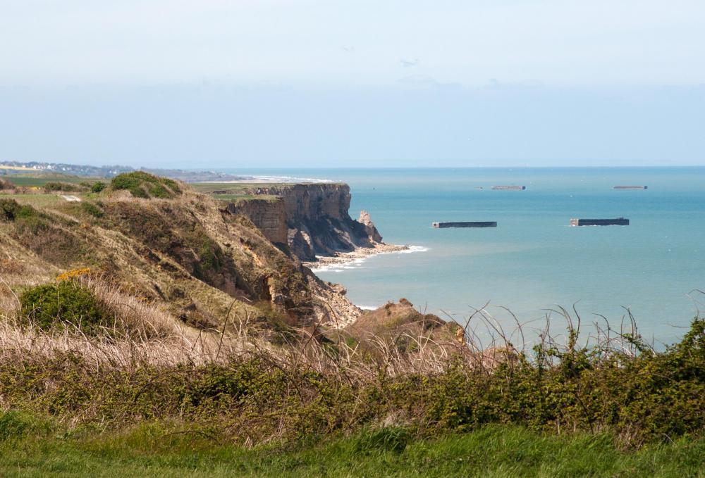 Booted eagles will hunt and nest along sea cliffs.