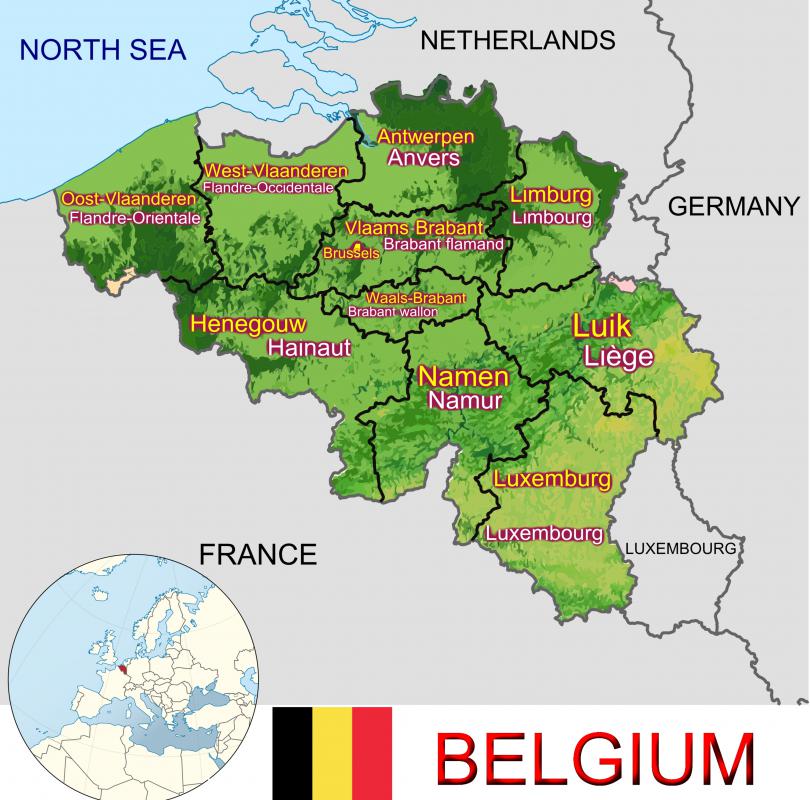 Belgian hares are rabbits that originated in Belgium and have been bred to resemble hares.