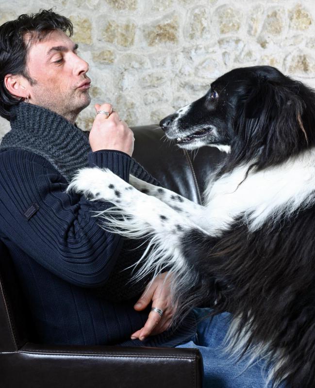 Shock collars are used for purposes ranging from containment to obedience.