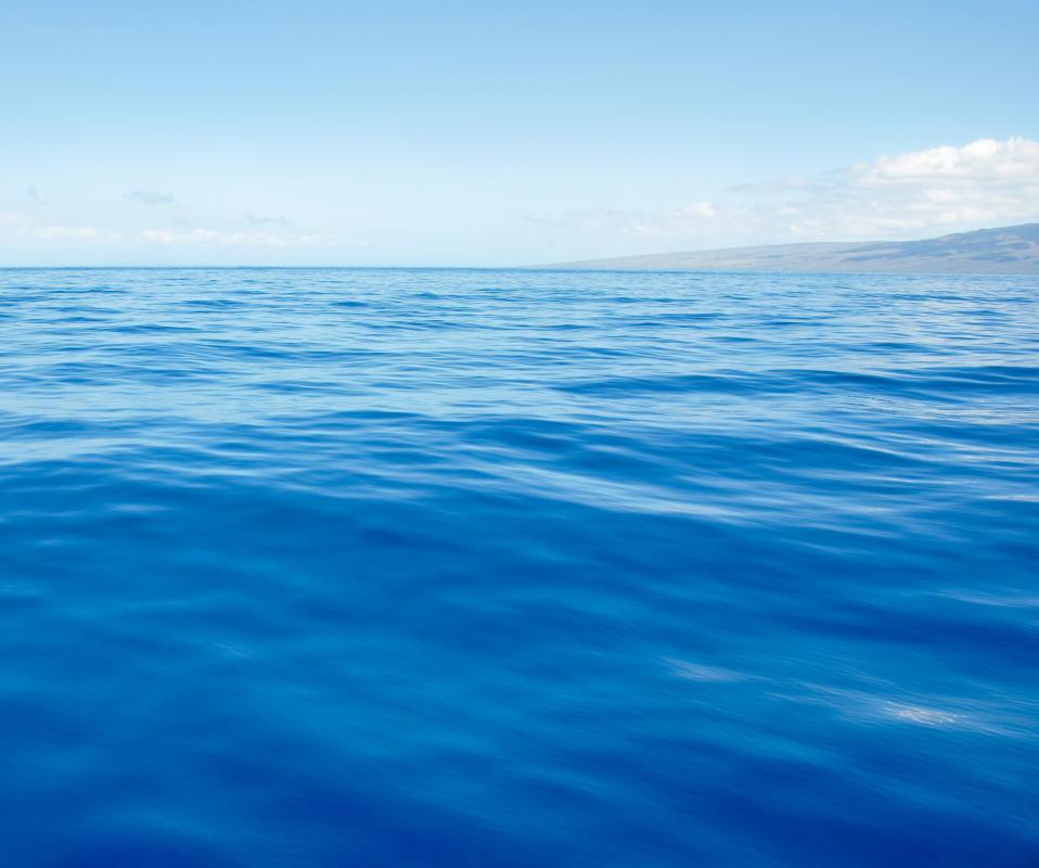 Pressure in the Mariana Trench is around 1,000 times the atmospheric pressure at sea level.