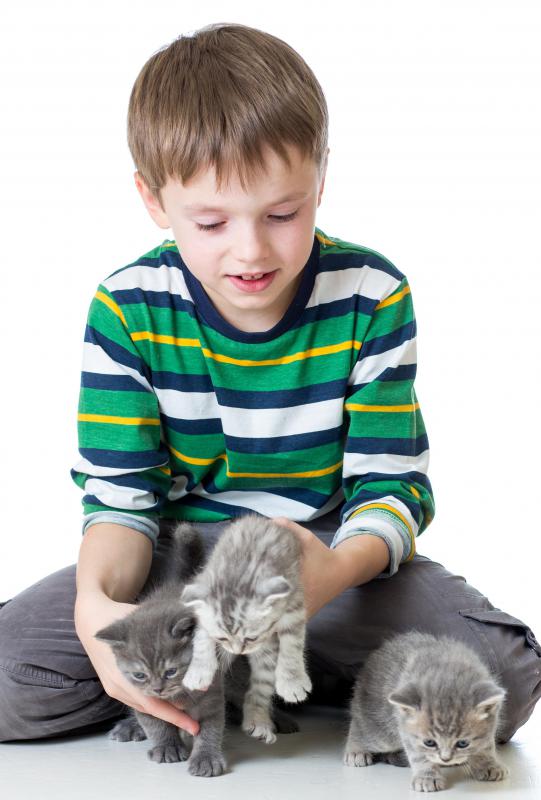 Kittens need special consideration regarding tick collars.
