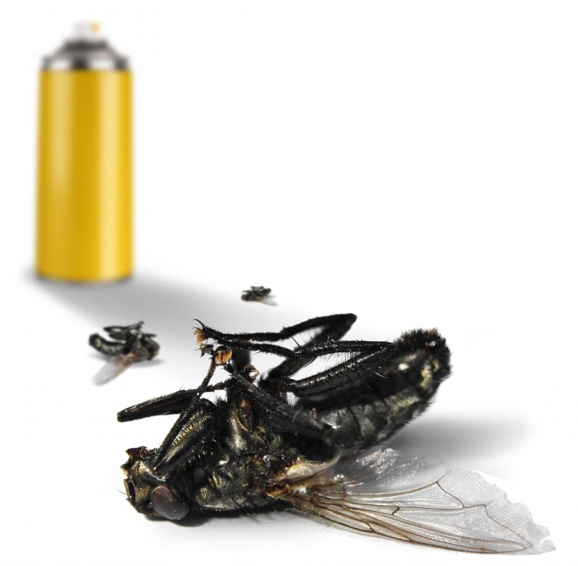 Those with pets should consult a veterinarian to see if bug spray is safe to use around animals.