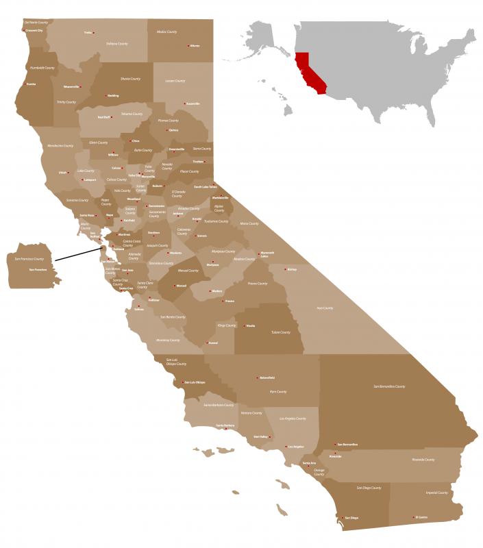 Northern California is well known for its large redwood trees.