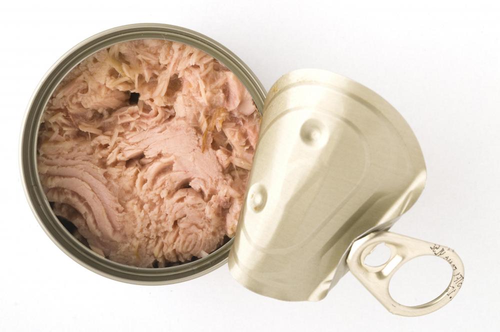 Dolphin safe tuna is tuna that is caught without harming or killing dolphins.
