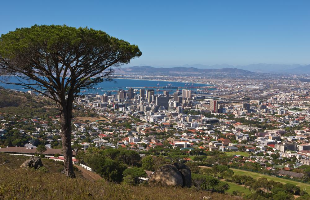 Cow shark encounters have occurred near Cape Town.
