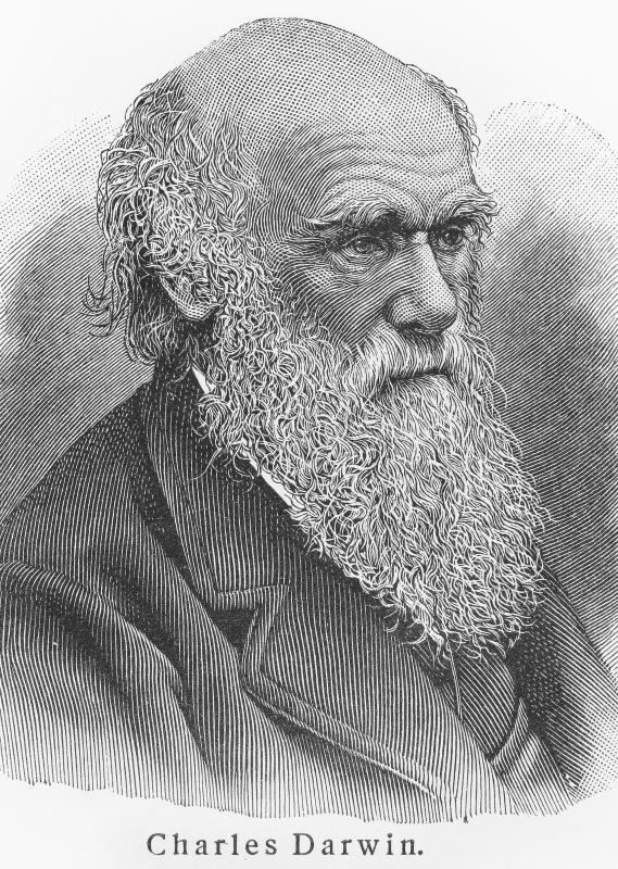 Charles Darwin posited an atoll formed by the gradual sinking of a volcanic island that has cooled.