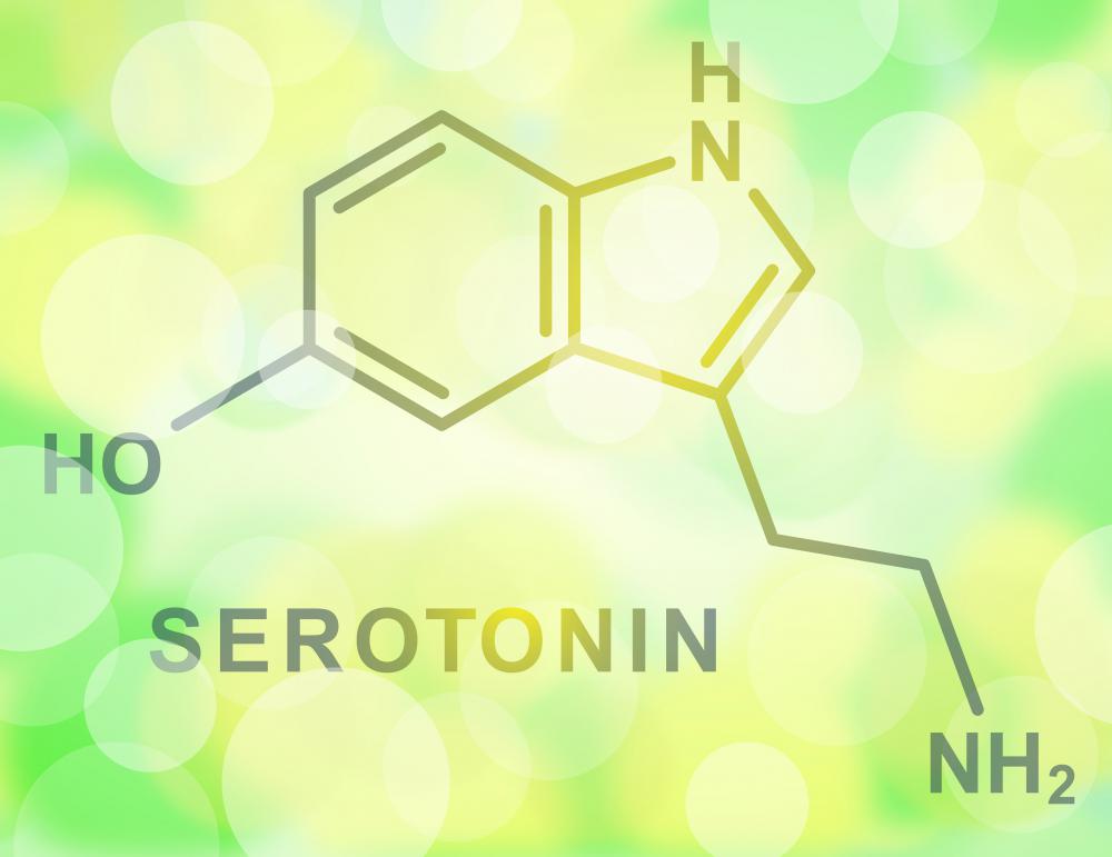 Mucuna pruriens, also known as velvet bean, contains serotonin.