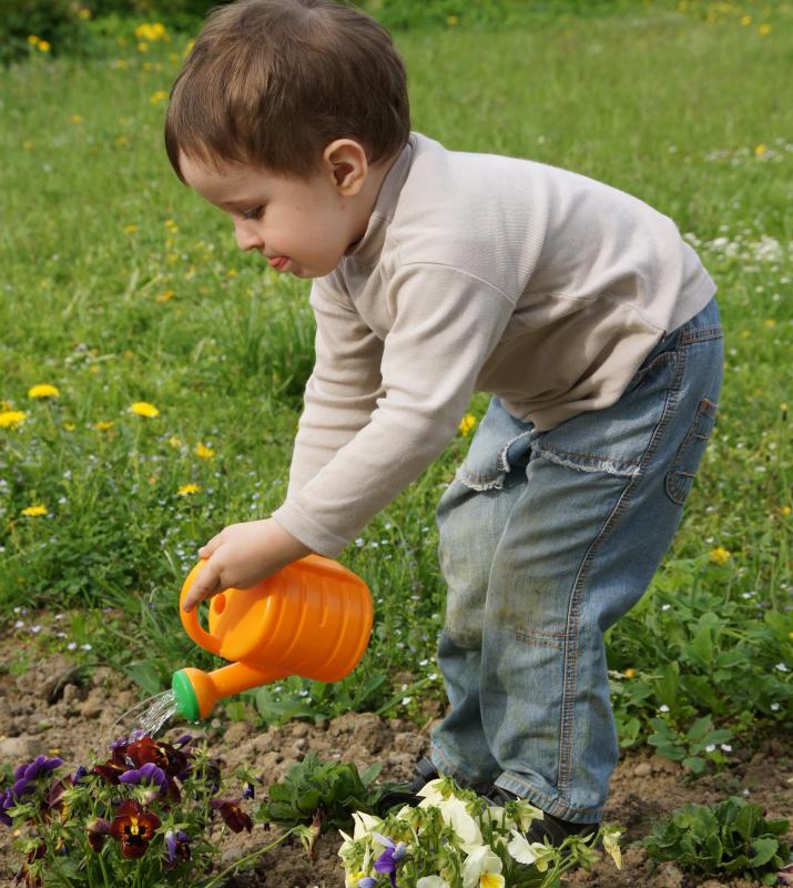 A boy watering flowers.