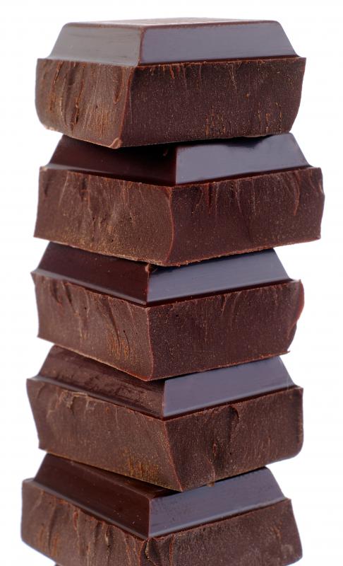Chocolate is toxic to cats and dogs.