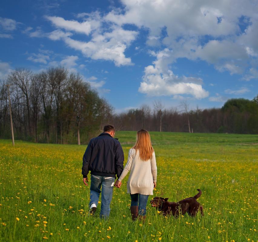 Nature and natural beauty are the cornerstones of a philosophy of nature.