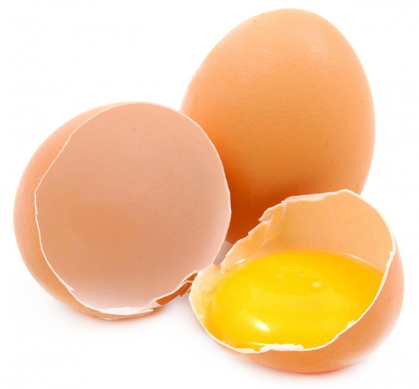 The chalaze helps to keep the yolk of an egg in place.