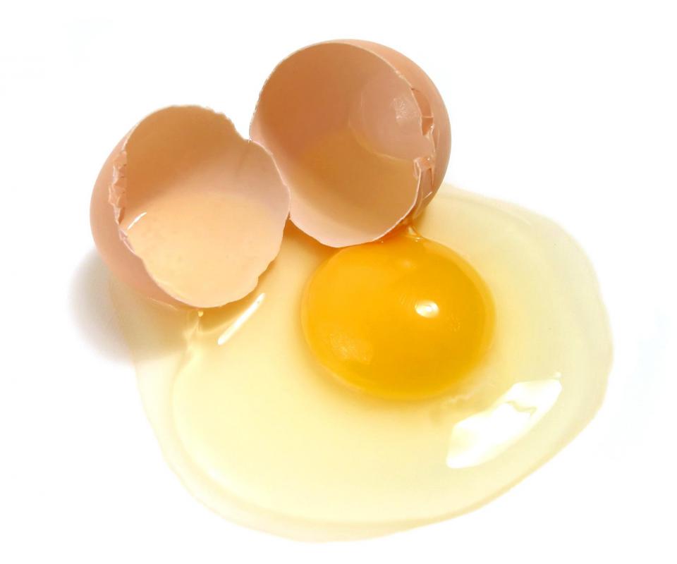 The interior of a chicken egg is what people usually eat, after discarding the shell.