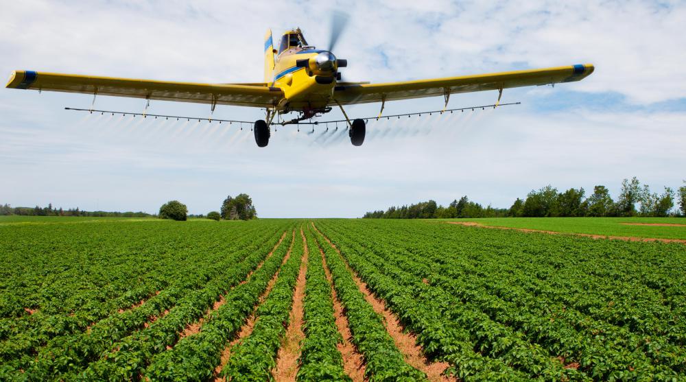 Some researchers believe the heavy use of insecticides may have been responsible for the bee die-off that occurred in the early 21st Century.