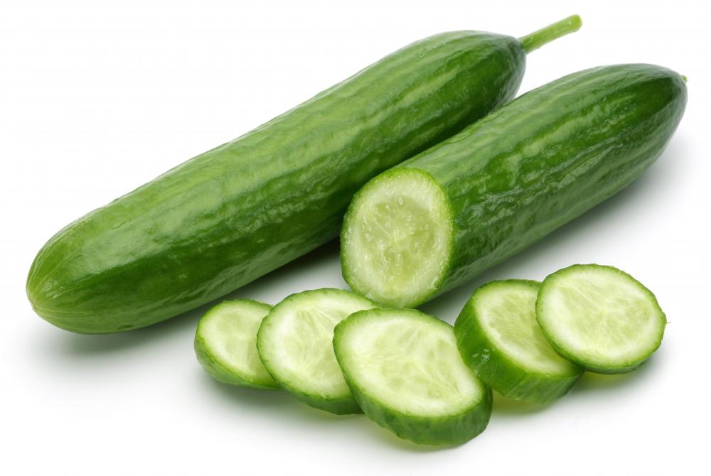Squash bugs can also be very destructive to cucumber crops.