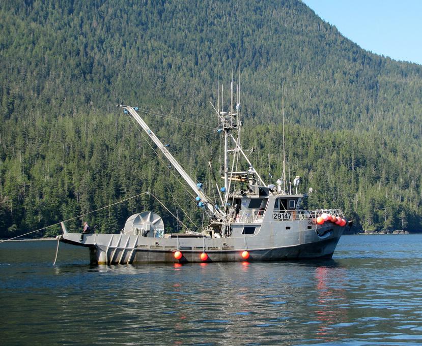 Commercial fishing can harm sea animals.