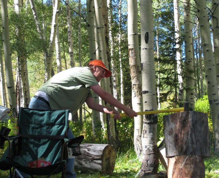 A man chopping wood for use as biopower.