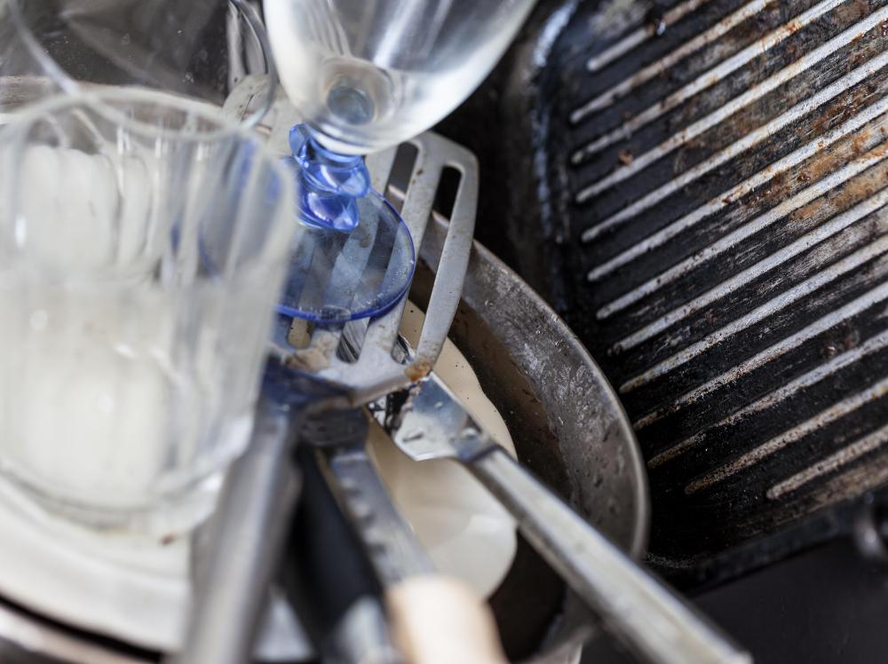 Dirty dishes may attract fruit flies.