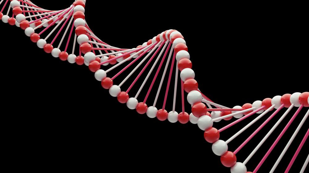 Genetic consistency is one reason rats are used for testing.