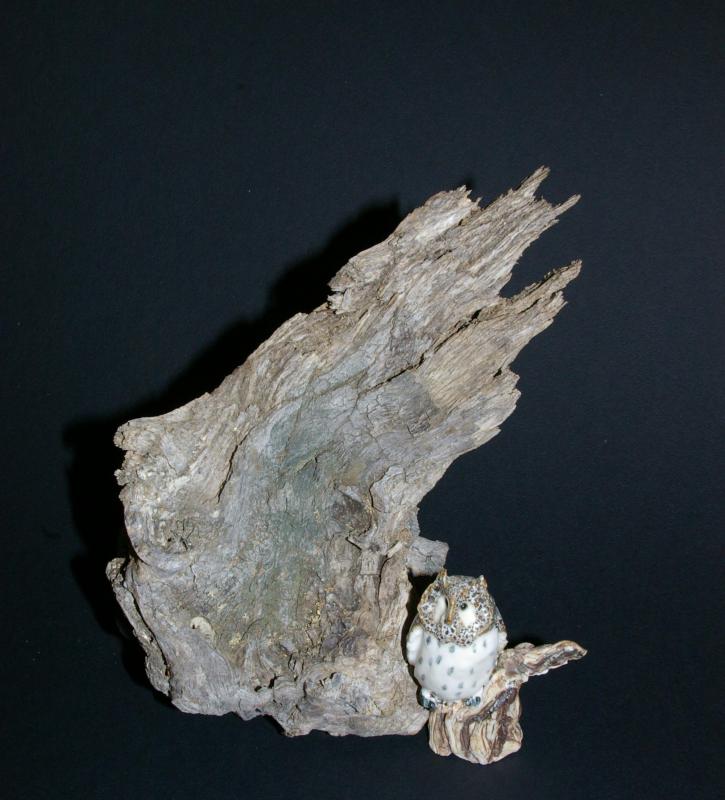 Because of its aesthetic appeal, some people use drift wood to create sculptures or other pieces of art from it.