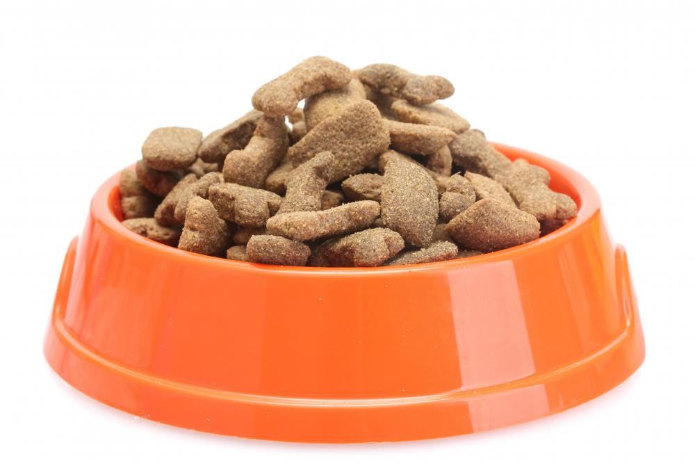 Dry food may be more beneficial for cats' and dogs' teeth.