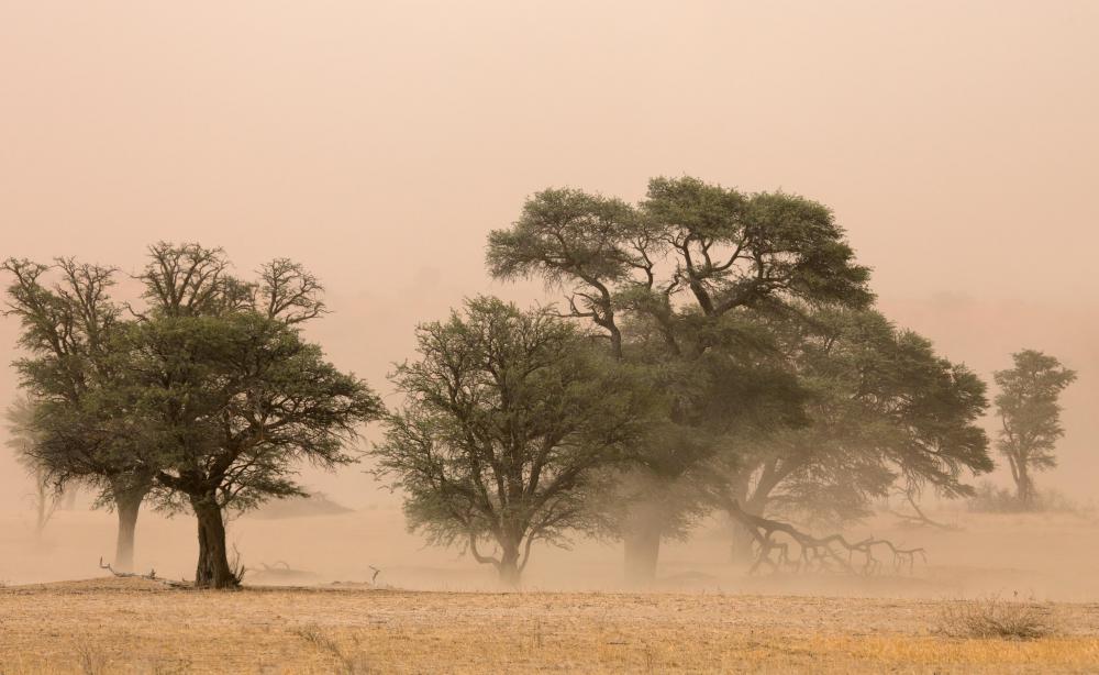 Dust storms cause reduced visibility.
