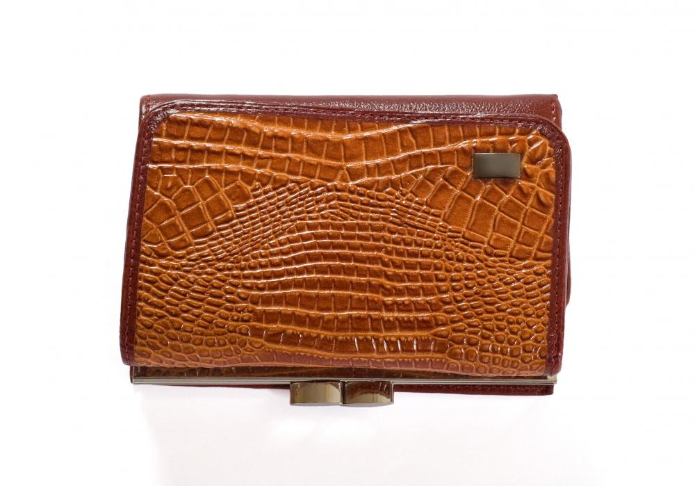 The fervor for alligator skin led to hunting the animals to near extinction.