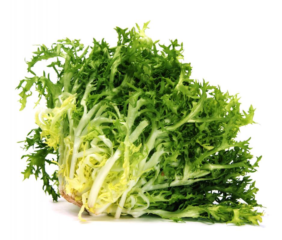 Escarole can be used for chlorophyll extraction.