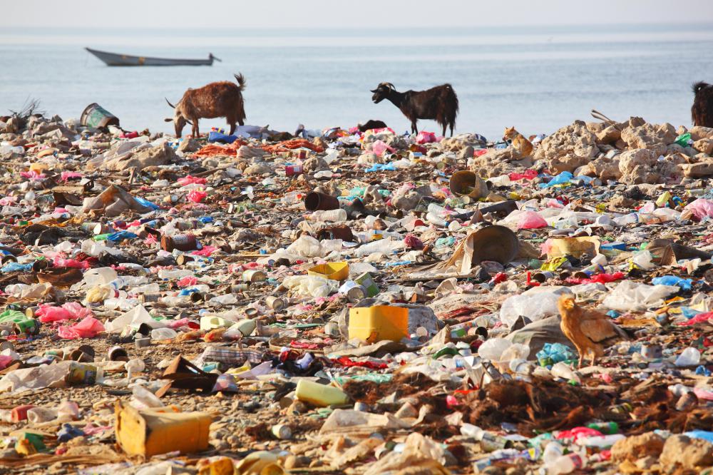 Plastic bags and bottles on a beach.