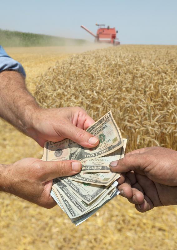 Many conventional crops in the U.S. are subject to some form of genetic modification.