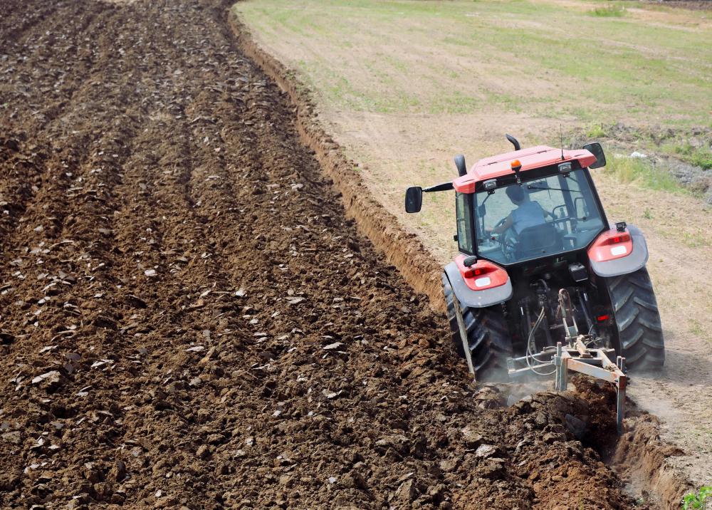 Plowing and tilling farmland may create soil that will not support earthworms.