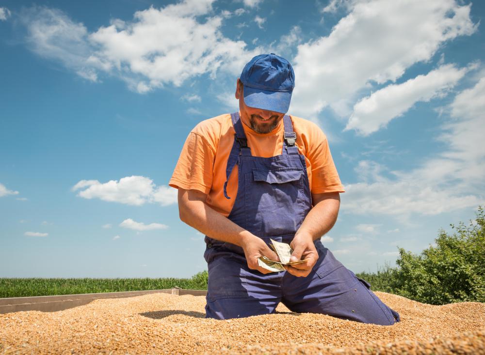 A fungus or bacterial blight can be the kiss of death for a farmer's crop.