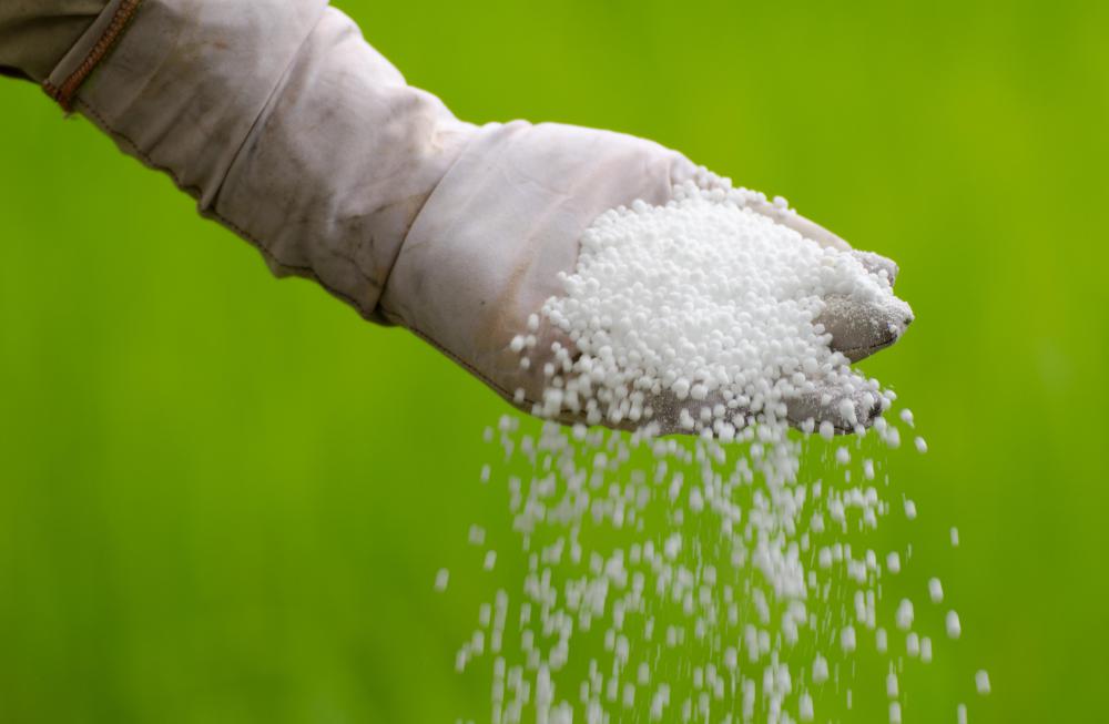 Soil salinity can be caused by the excessive use of chemical fertilizers.