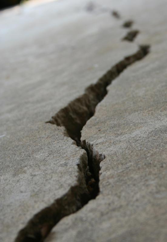 Though some people argue that animals notice subtle changes in the environment that humans may not be aware of, the idea that animals can predict earthquakes is currently not accepted by the scientific community.