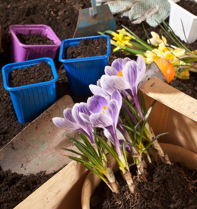 Darker topsoils are rich in organic nutrients.