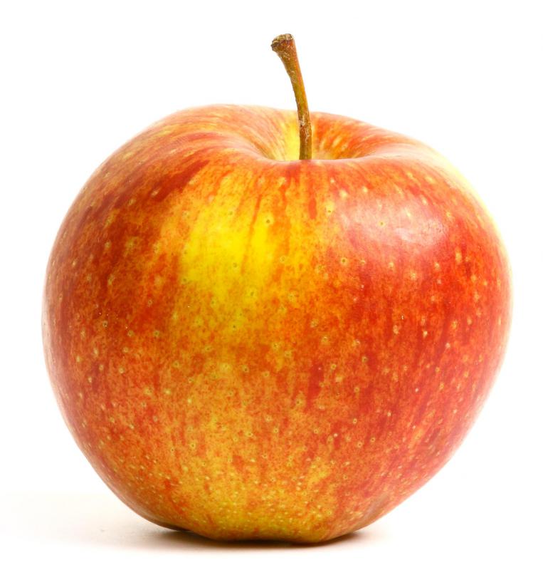 The light brown apple moth can cause significant damage to apple and other fruit trees.