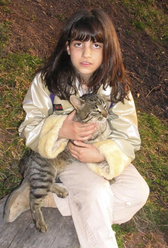 A cat may anxiously approach other family members when attempting to understand where their owner has gone.