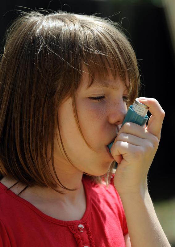 The green-lipped mussel has been used as a treatment for asthma, though not enough evidence exists for it to be labeled as an official treatment option.