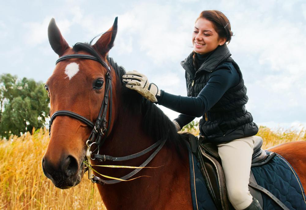 Gaited horses may be used for trail and endurance riding.