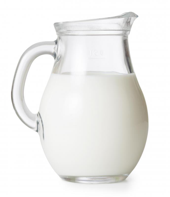 The Romney sheep is known for its ability to produced large quantities of milk.