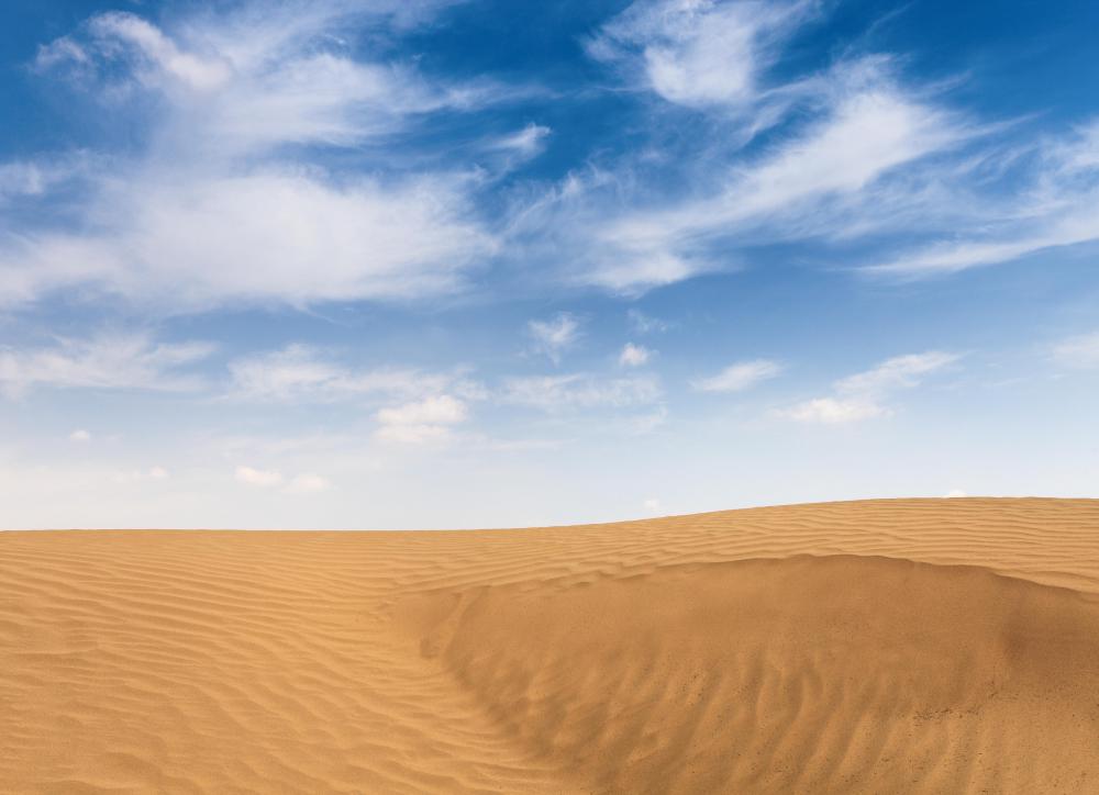There is a 2,800 mile long tree-planting effort in China to combat the spread of sands from the Gobi Desert.