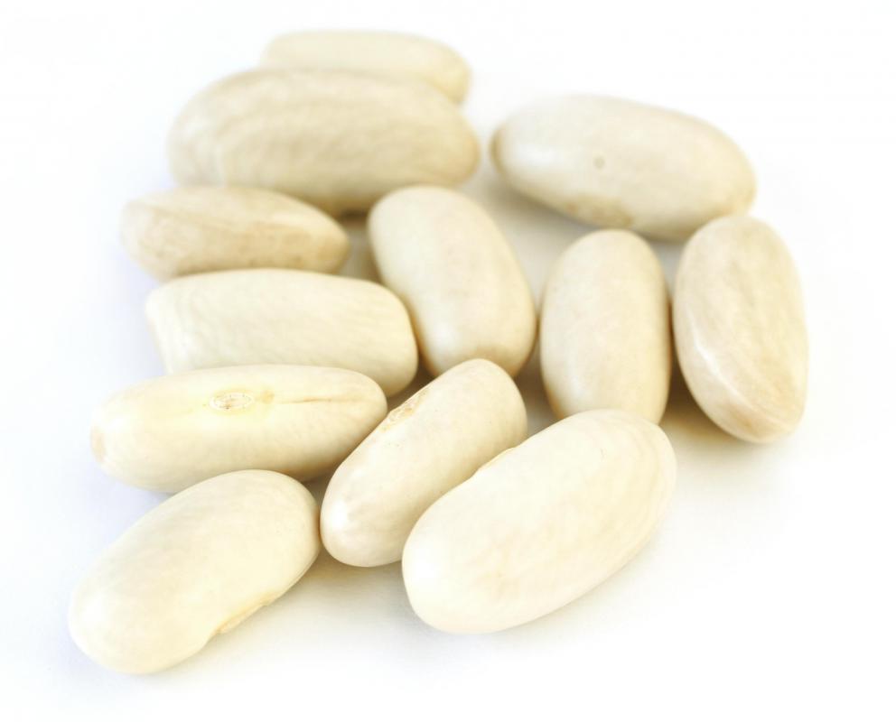 Stink bugs are often attracted to beans.