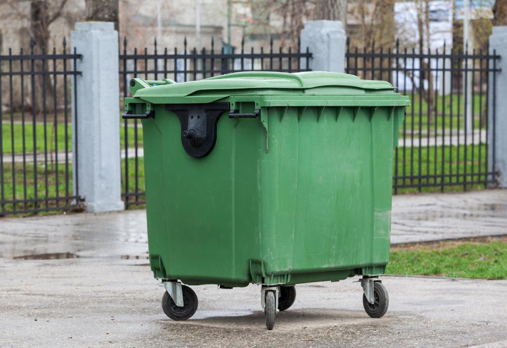 Feral animals are often found near dumpsters.