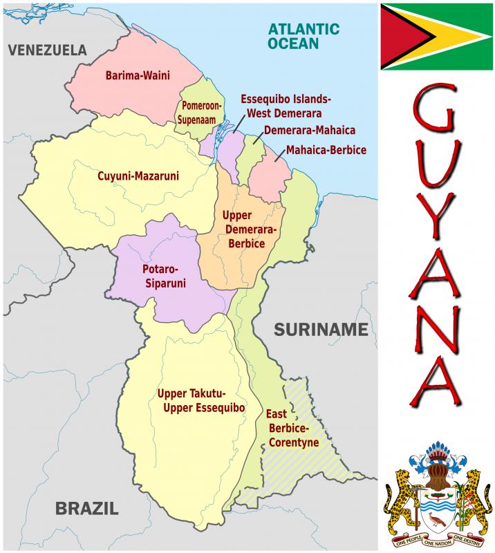 The hoatzin is the national bird of Guyana.