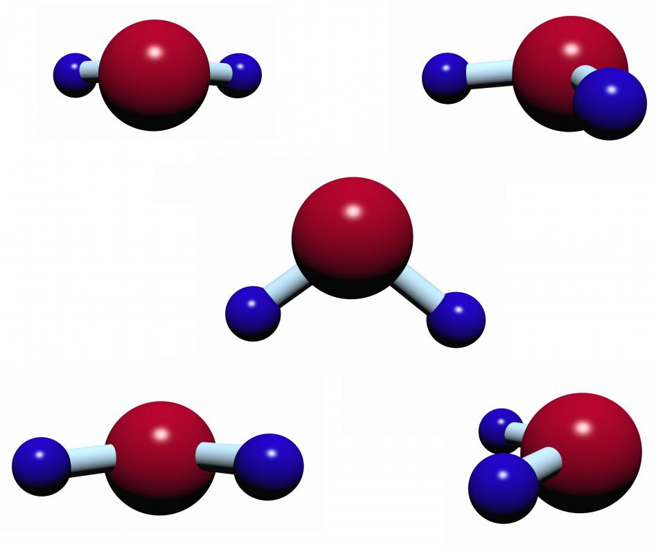 Water molecules are used by chlorophyll during photosynthesis.