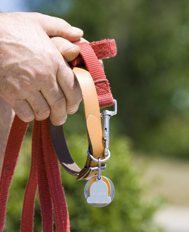 Dog runs allow pets the freedom to roam without leashes.