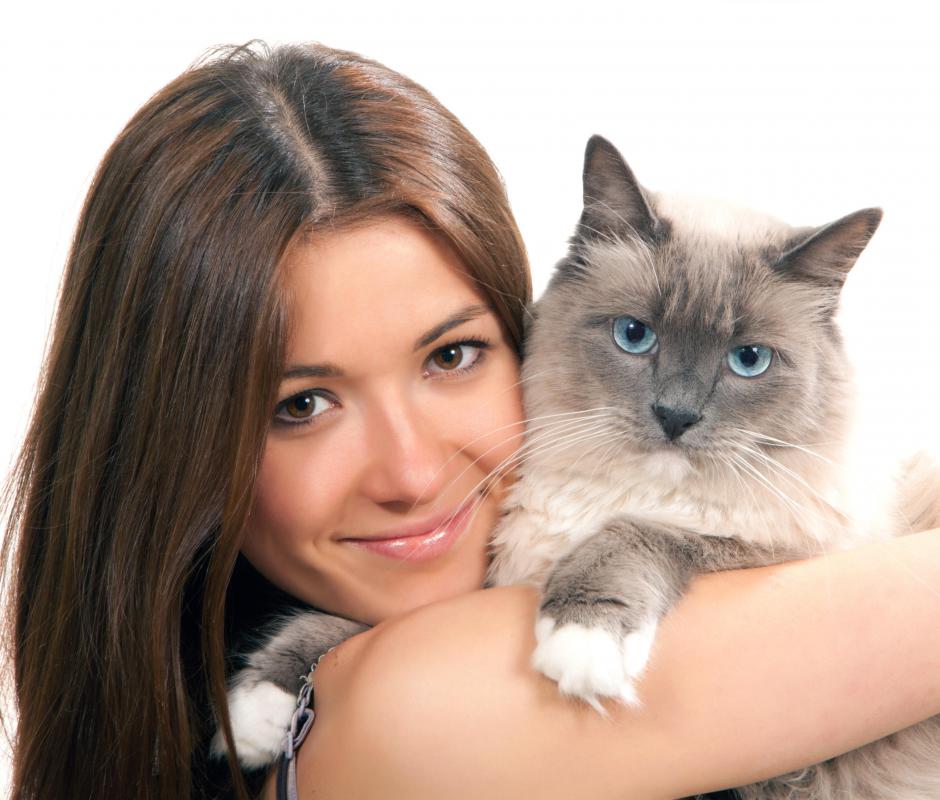 Talk to friends and family as they may be able to care for your cat.