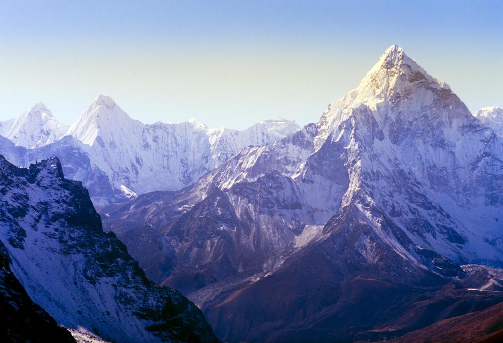 Cultures living in the Himalayas rely on animals like the dzo for long journeys through rugged mountain conditions.