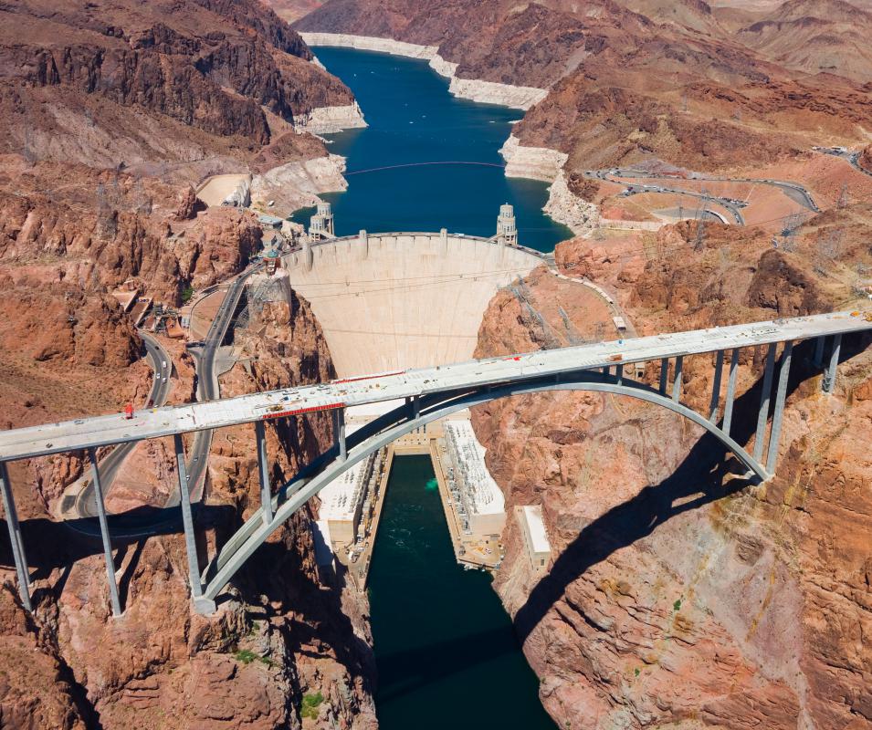 Several species of fish native to the Colorado River are endangered because of the Hoover Dam.